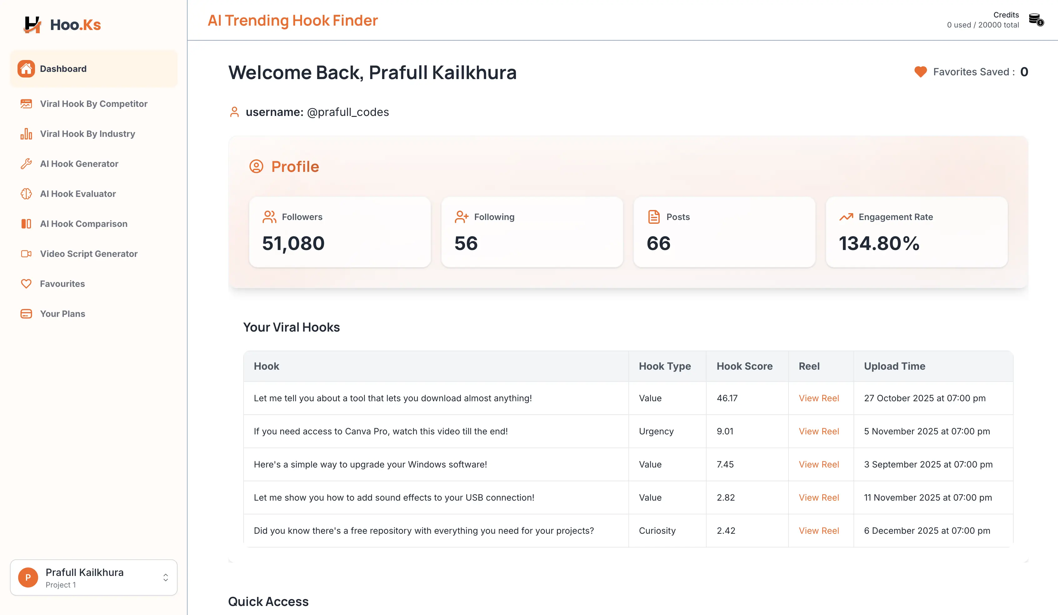 SaaS Dashboard Interface showcase